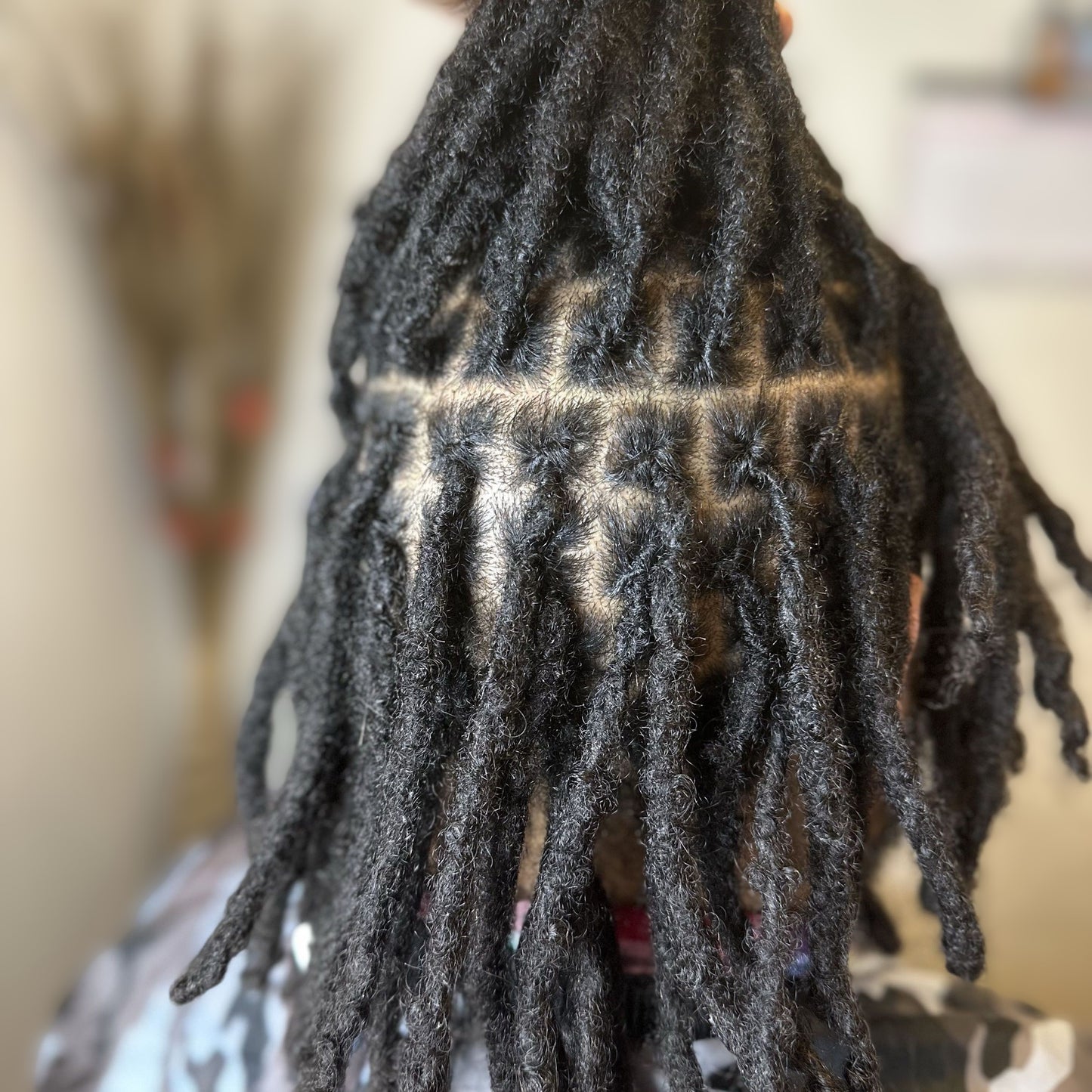 DREADLOCS / INTERLOCKING