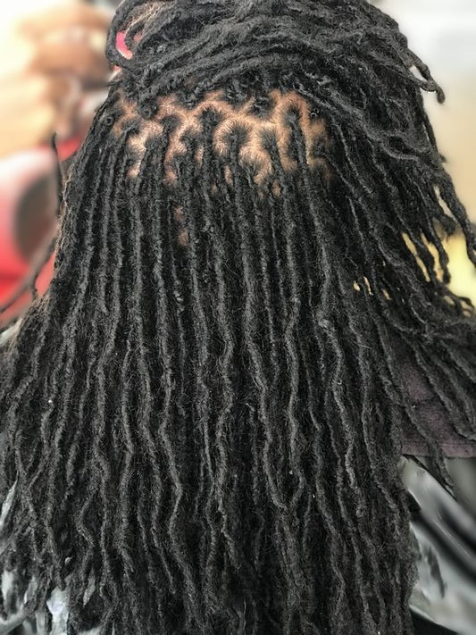 DREADLOCS / INTERLOCKING